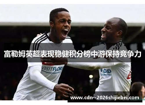 富勒姆英超表现稳健积分榜中游保持竞争力 富勒姆英超表现稳健积分榜中游保持竞争力
