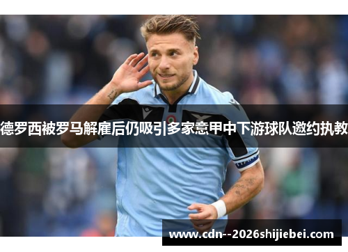 德罗西被罗马解雇后仍吸引多家意甲中下游球队邀约执教 德罗西被罗马解雇后仍吸引多家意甲中下游球队邀约执教