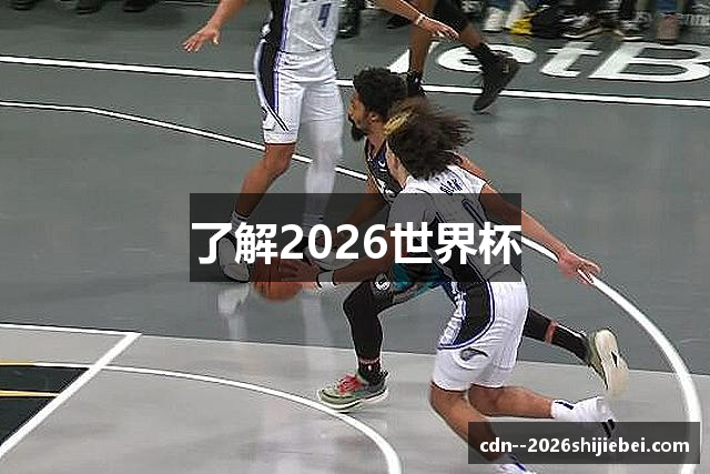 了解2026世界杯